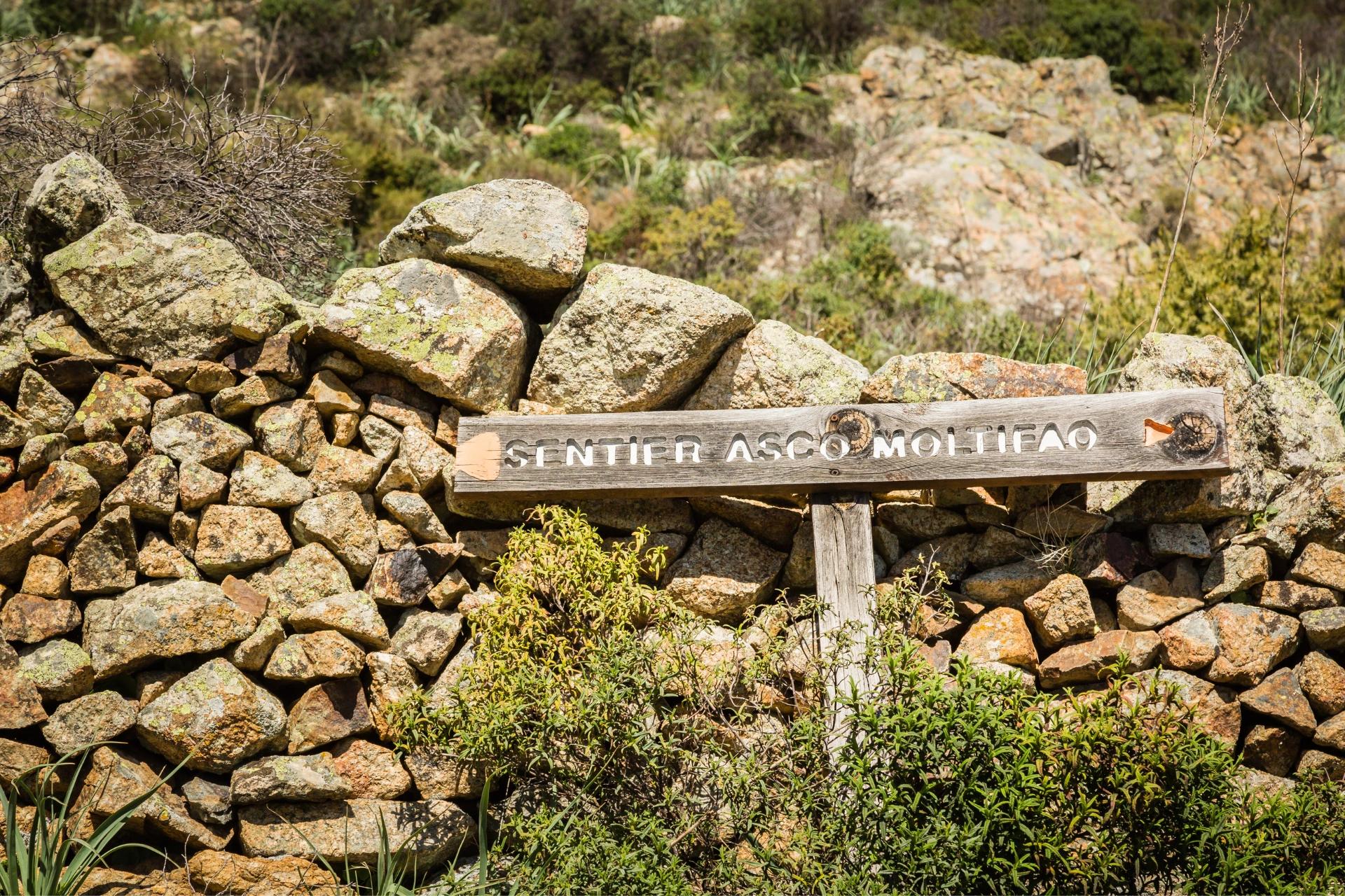Faire de la randonnée en Balagne