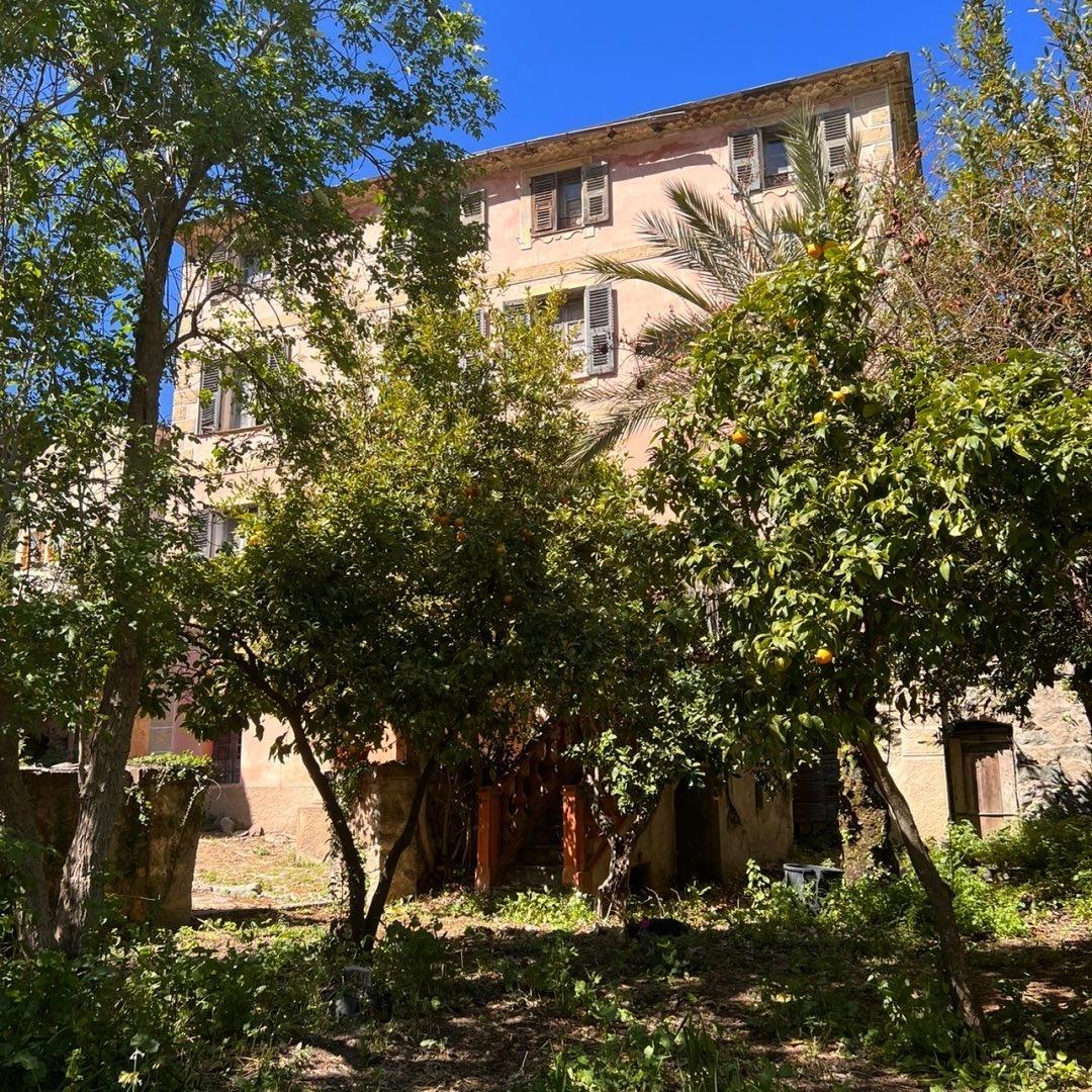 Façade entourée d'arbres et de végétation à l'hôtel San Andrea
